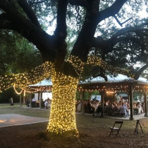 Tree Lighting Wrap