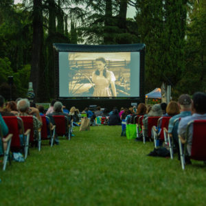 Outdoor Movies Back Yard Wizard of Oz Charleston